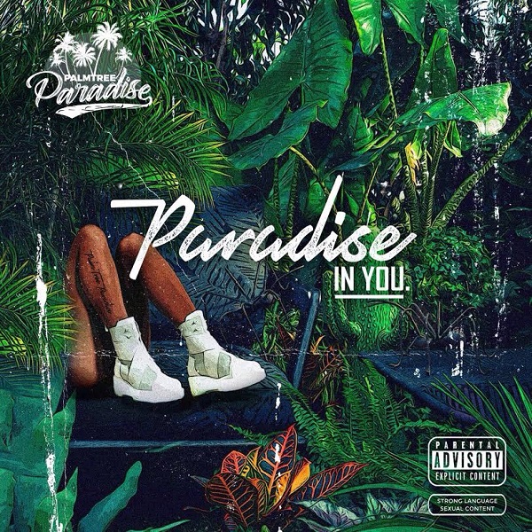 Palm Tree Paradise Paradise In You Album Artwork