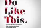 DJ Consequence Do Like This Artwork