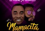 DJ Vinnie Mamacita Artwork