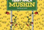 Terry Apala Mushin (Barking Cover) Artwork