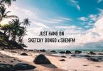 Sketchy Bongo - Just Hang On