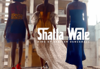 Shatta Wale - Akwele Take