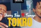 Sherry Boss – Tokro ft. Fameye