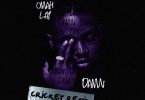 Omah Lay – Damn (Cricket Remix)