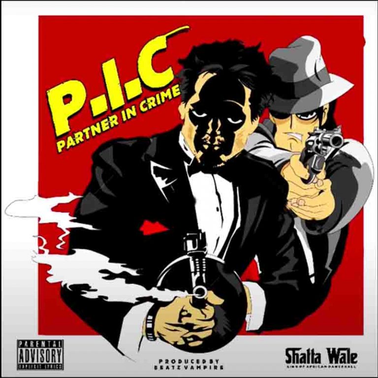 Shatta Wale - Partner In Crime (P.I.C)