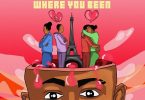 Sean Tizzle Where You Been EP