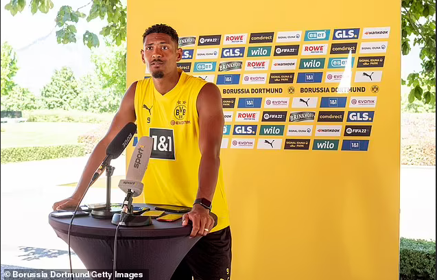 Borussia Dortmund striker, Sebastian Haller breaks silence after he was diagnosed with a testicular tumour