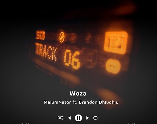 MalumNator – Woza ft Brandon Dhludhlu